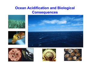 Ocean acidification ongoing decrease in the pH of the Earth's