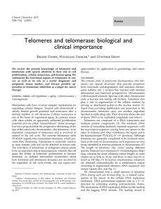 Telomeres and telomerase: biological and clinical