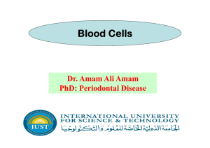 Blood cells, Dr Amam