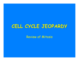 CELL CYCLE JEOPARDY