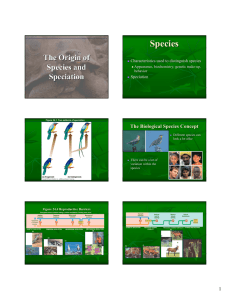 Chapter 24 Origin of Species and Speciation