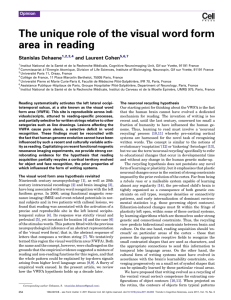 The unique role of the visual word form area in reading