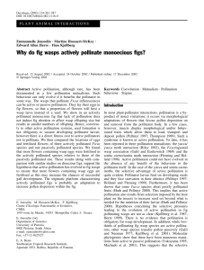 Why do fig wasps actively pollinate monoecious figs?