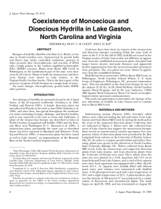 Coexistence of Monoecious and Dioecious Hydrilla in Lake Gaston