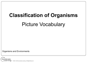 Classification of Organisms Picture Vocabulary