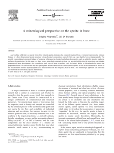 A mineralogical perspective on the apatite in bone