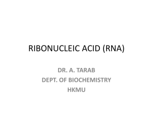 RIBONUCLEIC ACID (RNA)