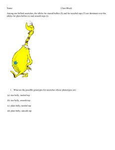 Among star bellied sneetches, the alleles for starred bellies (S)