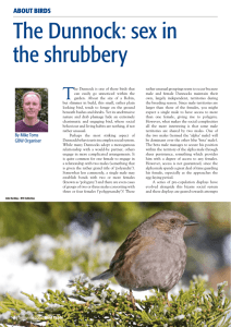 The Dunnock: sex in the shrubbery