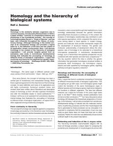 Homology and the hierarchy of biological systems
