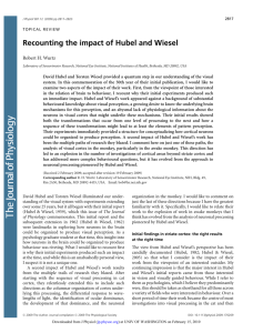 Recounting the impact of Hubel and Wiesel