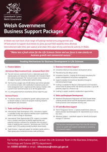 Welsh Government Business Support Packages