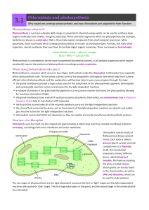 Chloroplasts and photosynthesis