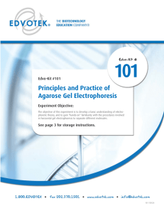 Principles and Practice of Agarose Gel Electrophoresis