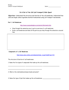 In & Out of the Cell (cell transport) Web Quest http