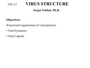 Viral Immunology 2012