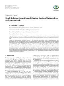 Catalytic Properties and Immobilization Studies of Catalase from