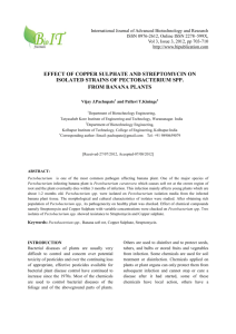 EFFECT OF COPPER SULPHATE AND STREPTOMYCIN ON