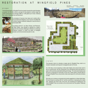 restoration at wingfield pines