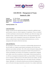 1243.3015.02 – Management of Teams