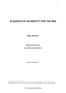 IN SEARCH OF AN IDENTITY FOR THE DRN