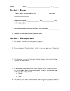 Section 2: Photosynthesis