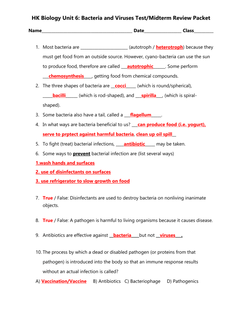 Viruses and Bacteria Worksheet for 11th 11th Grade Lesson Planet For Viruses And Bacteria Worksheet