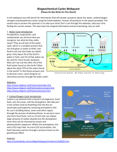 Biogeochemical Cycles Webquest