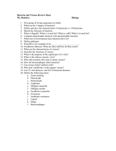 Bacteria and Viruses Review Sheet