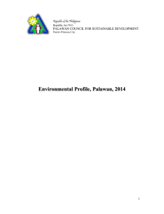 1st draft Palawan Environmental Profile