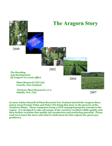 The Aragorn Story