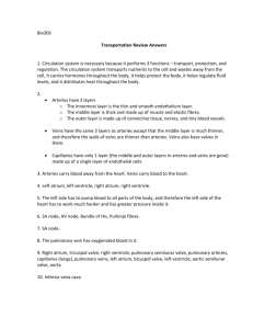 transportation review answers