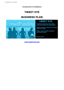 Tweet Eye Business Plan