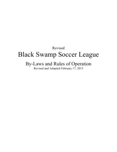 Black Swamp Soccer League