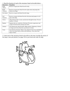 020 Heart Structure Notes 020 heart structure and