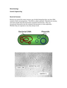 Biotechnology Genetic Engineering Bacterial Genome Bacteria are
