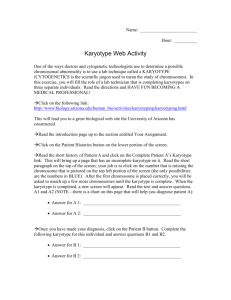 Karyotype webquest