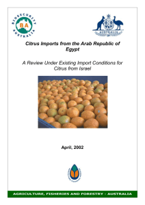 pests of citrus in egypt and israel