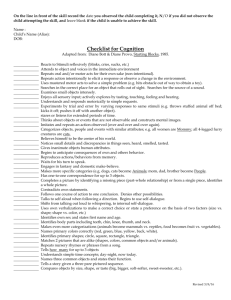 Cognition Checklist