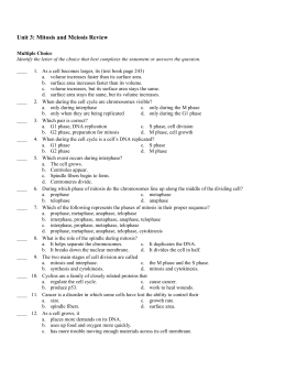 3-102 homework help 3-102 homework help