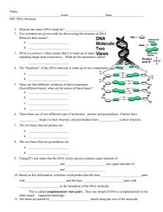 DNA structure HW