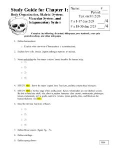 Study Guide for Body Organization and Skeletal System Quiz