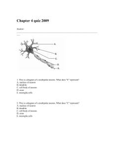 Chapter 4 quiz 2009