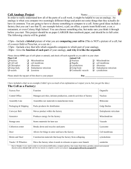 Curiosity Essay An Analysis Of The Moral Courage Shown By Julius Caesar Its The Bright Day That Brings Define Analytical Essay also Essays On Photography An Analysis Of The Moral Courage Shown By Julius Caesar Essay Essay About Buddhism