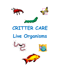CRITTER CARE