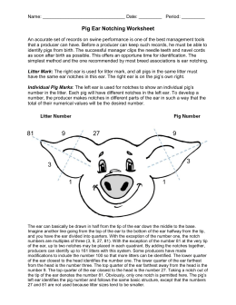 Reference guide for ear notching in swine - Indiana 4-H