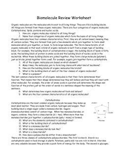 Worksheets Biomolecules Worksheet biomolecule review worksheet biomoleculereviewworksheet