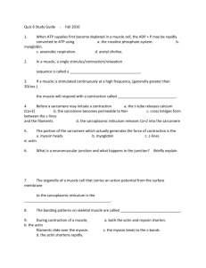 2010 Study Guide for Quiz 6