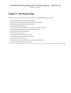 Chapter 4: The Human Body