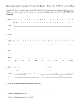 Replication, Transcription, Translation Worksheet